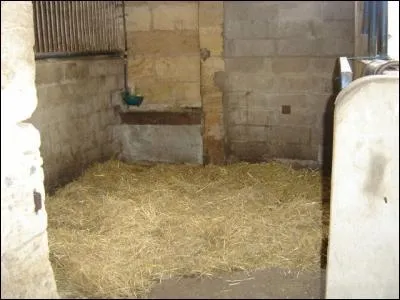 Quel est le principal avantage de la litire en paille ?