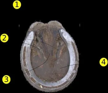 Quelle est la partie 2 ?