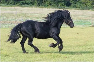 Combien de kilomtres un cheval au galop parcourt-il en une heure ?