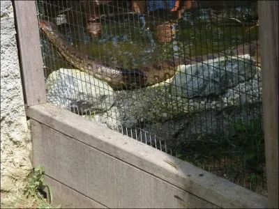 Comment s'appelle cette opration militaire, qui depuis plusieurs annes, tente de dloger les orpailleurs clandestins de la fort guyanaise ?