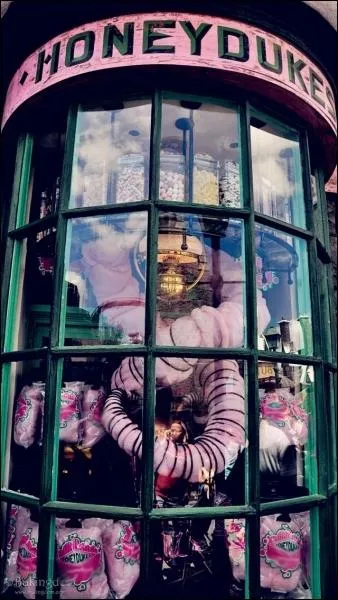 Quel est le nom de cette confiserie non magique ?