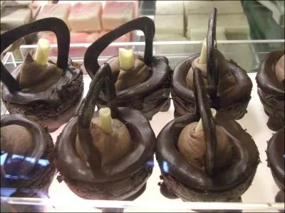 Comment se nomme cette confiserie offerte par Harry  Hermione dans le Poudlard Express, en 1993 ?