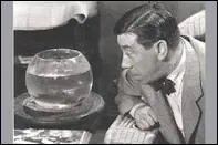 Quel est le titre ce film o joue Fernandel en 1956 ?