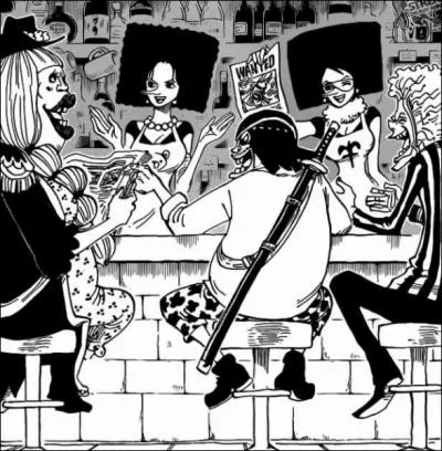 Quel est le surnom de Kiwi et Mozu, les deux soeurs de Water Seven ?