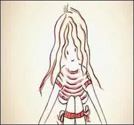 De quel clip s'agit-il ?