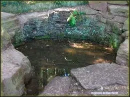 Que faut-il pour avoir la vie ternelle avec la fontaine de Jouvence ?