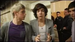 Quel single les a rendu trs populaires ?