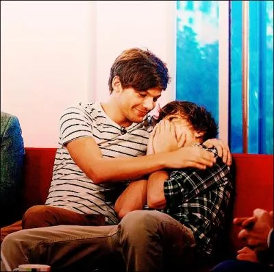 Comment s'appelle la Bromance entre Liam et Louis ?