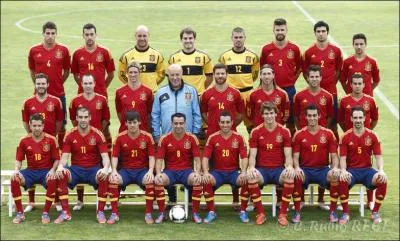 Au dbut de l'Euro 2012, en ne comptant que les joueurs voluant en Liga, quelle quipe ne comptait aucun joueur parmi les 23 espagnols ?