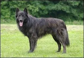 Et lui, qui est-il ?