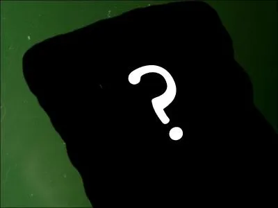 Il aime un animal particulirement plus que les autres :