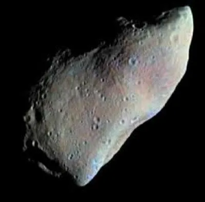 Un de ces spcimens a mis fin au rgne des dinosaures :