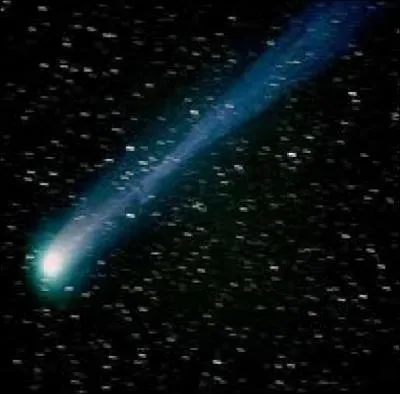 Faites un voeu si vous en apercevez un/une :