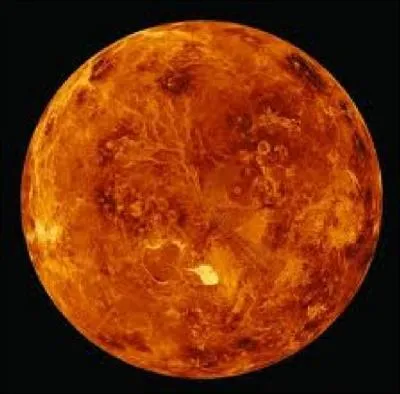 Sur cette plante, il fait plus de 450C :