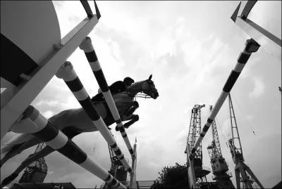 Quel obstacle n'appartient pas  la catgorie des obstacles larges ?