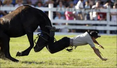 Parmi les accidents dus  l'quitation, les plus graves sont ...