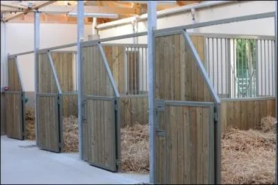 Que ne faut-il pas mettre dans un box en guise de litire ?