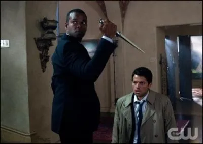 Et cette arme, � quoi sert-elle ?