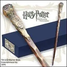  qui appartient la baguette ?