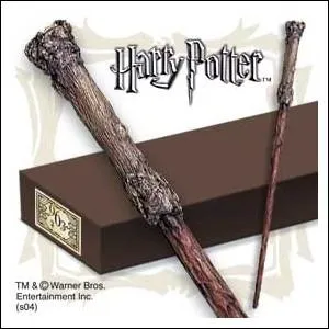  qui appartient la baguette ?