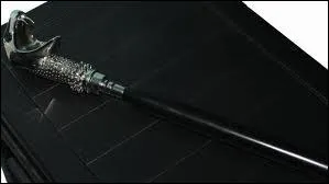  qui appartient la baguette ?