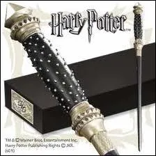  qui appartient la baguette ?