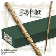  qui appartient la baguette ?