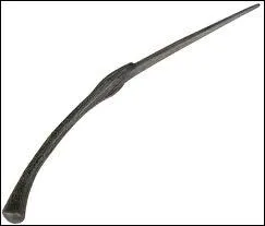  qui appartient la baguette ?