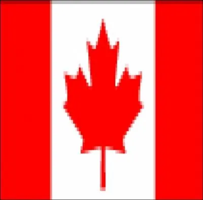 De quel pays vient ce drapeau ?