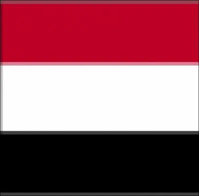 De quel pays vient ce drapeau ?