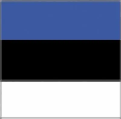 De quel pays vient ce drapeau ?