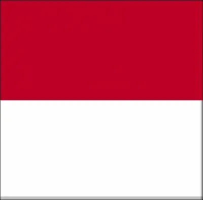 De quel pays vient ce drapeau ?