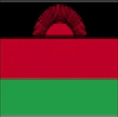 De quel pays vient ce drapeau ?