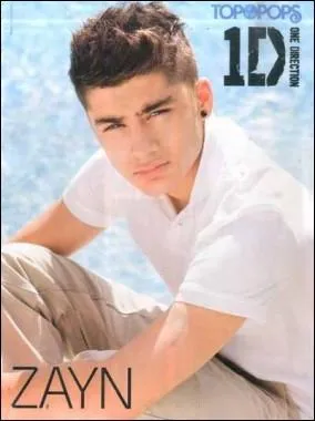 Si Zayn n'avait pas fait X-Factor il serait devenu ... . .