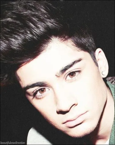 Son plat prfr est ...