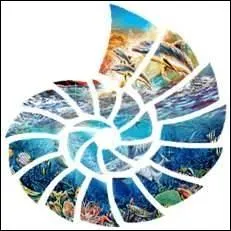 Seraient-elles en silicone ? Non ! Voilà des récipients bien pratiques puisqu'on n'a plus besoin d'y mettre de matière grasse.