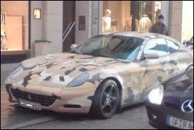 J'exhale 475 grammes de dioxyde de carbone par kilomtre. Je suis l'cologique 