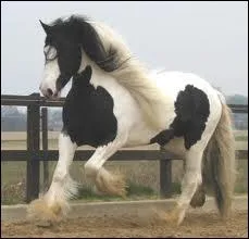 Quelle est cette robe ?