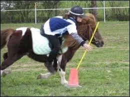 Quel est ce sport questre ?