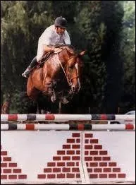 Quel est ce sport questre ?