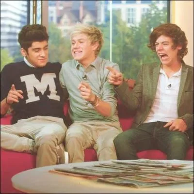 Qui a peur des oiseaux ?