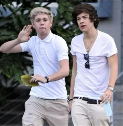 Le tout premier concert auquel Niall est all tait celui du groupe :