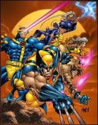 Les X-men sont des...