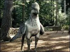 Comment s'appelait son hippogriffe ?