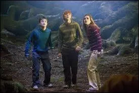 Quand Hermione, Harry et Ron l'ont-ils dcouvert ?