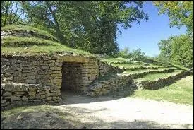 Les tumulus (ou tumuli) de Bougon sont les nécropoles les plus anciennes d'Europe. Ils ont été dressés à peu près --------------------- la première pyramide d'Égypte (Saqqarah).