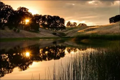 Vous tes l'heureux (heureuse) propritaire d'un tang, quel moyen allez-vous utiliser pour le vider ?