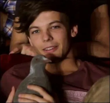 Comment s'appelle le pigeon de Louis ?
