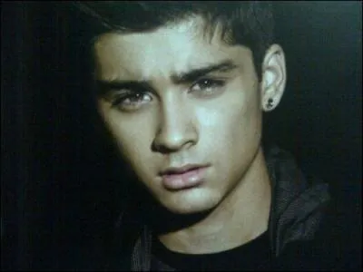 Zayn a-t-il des origines pakistanaises ?