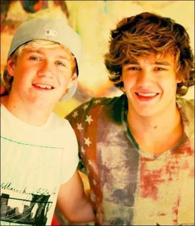 Quel est le 2me prnom de Niall et Liam ?